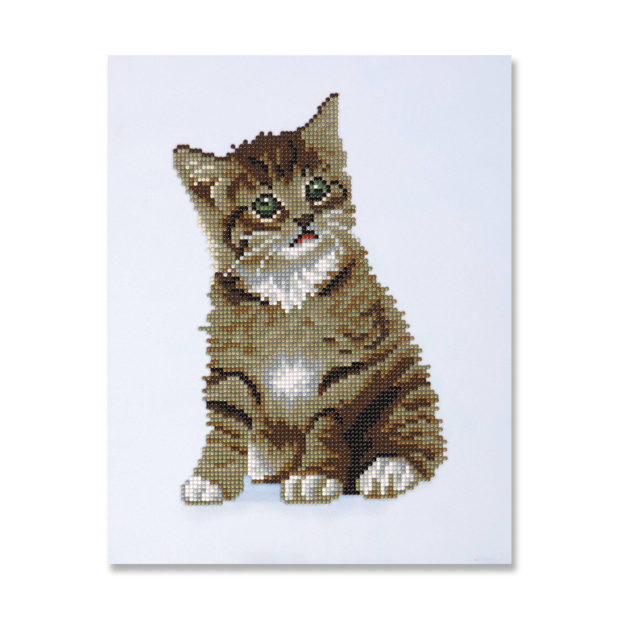 Duo Cat Diamond Art Kit by Make Market®